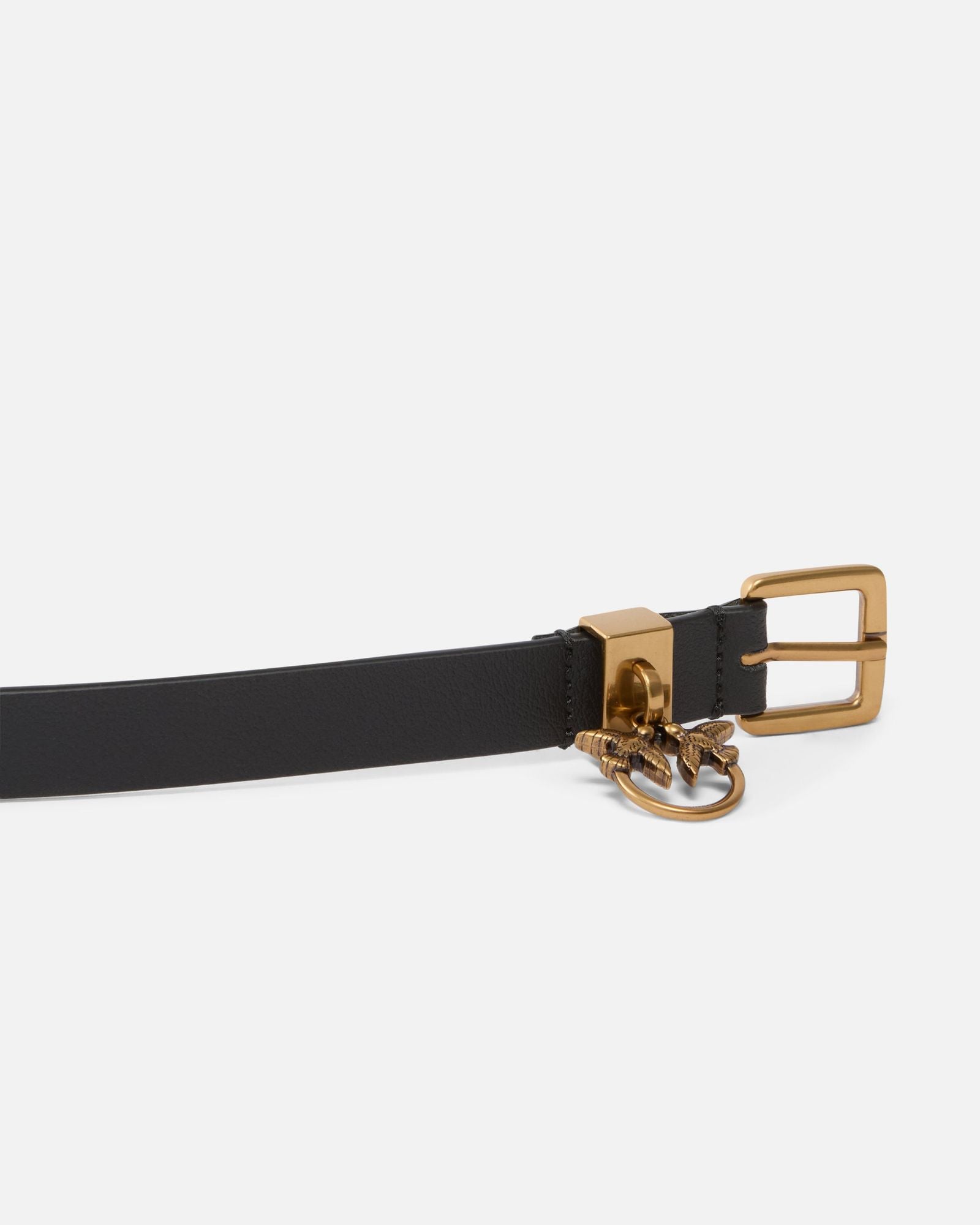 Cintura doppio giro -Pinko 104023A23I Z99Q PINKO 