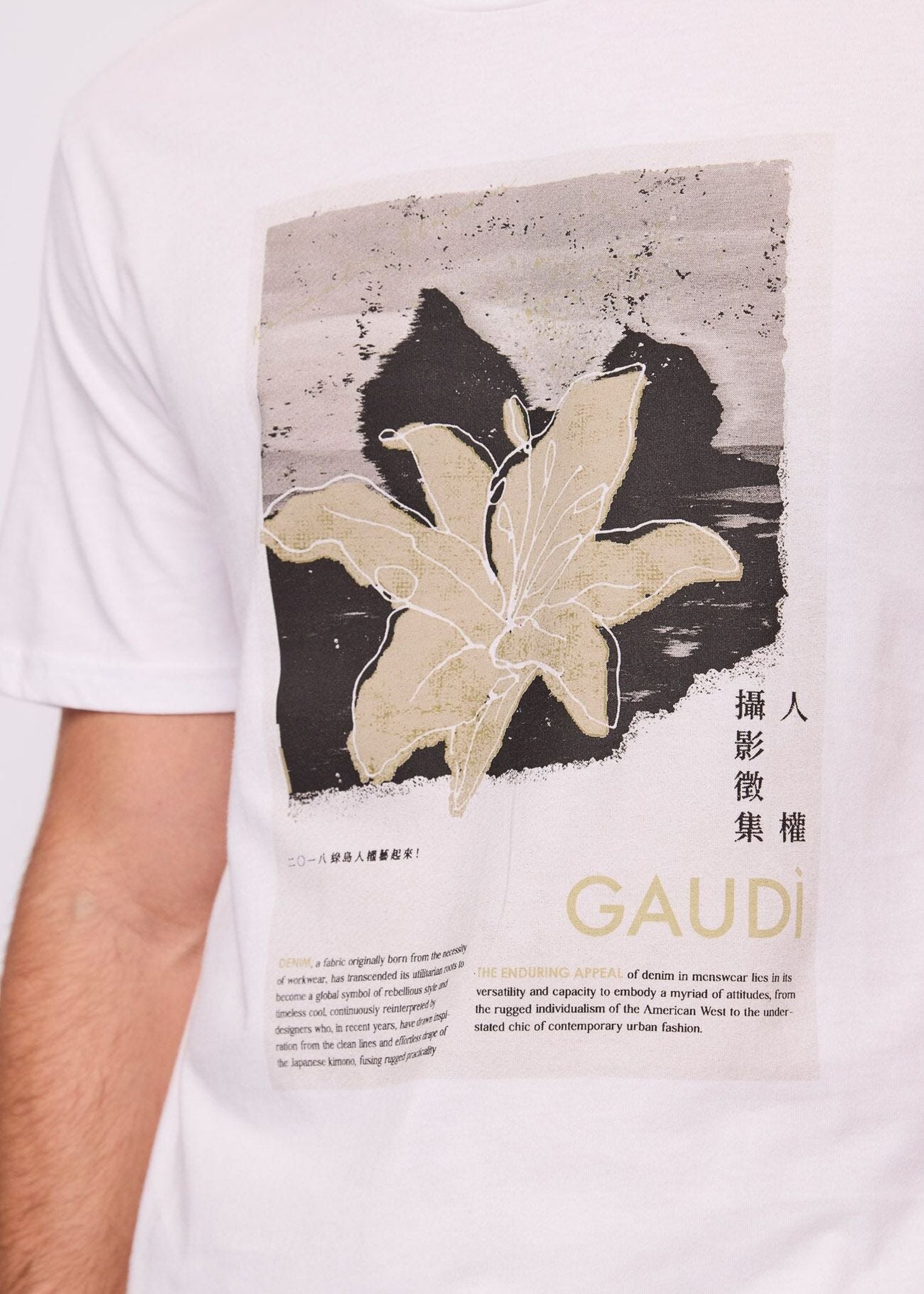 T-shirt girocollo con stampa - Gaudi 611GU64091 2100 GAUDI' 