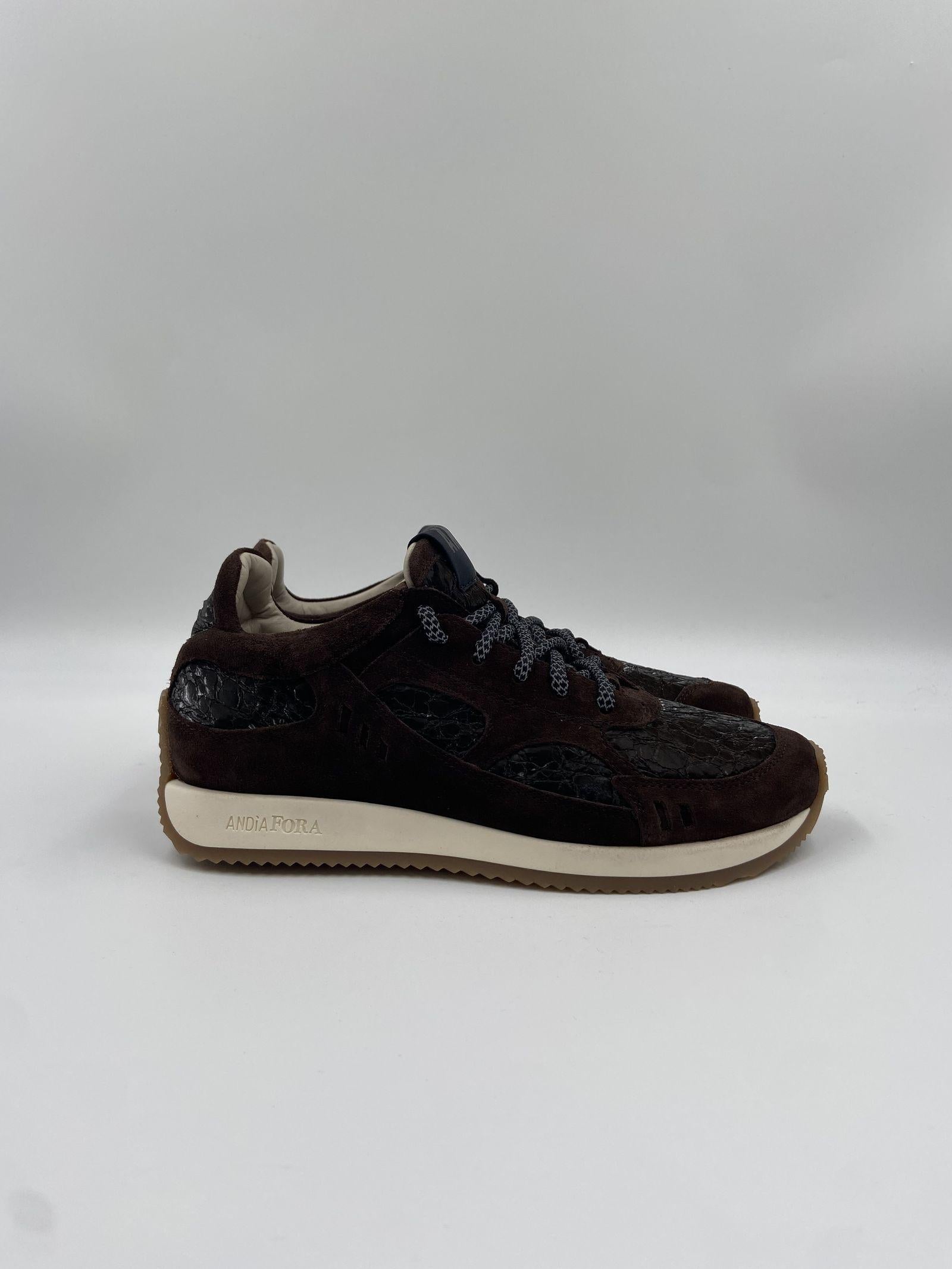 Sneakers Hoty Denver Suede HOTYDENVER MORO ANDIA FORA 