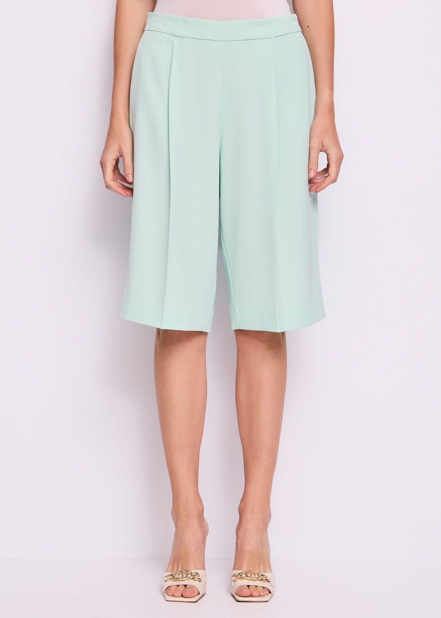 Bermuda con pinces 511FD25028 3974 GAUDI' 